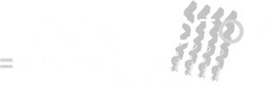 GremiMotor-Movilidad-libre-LogoBlanco